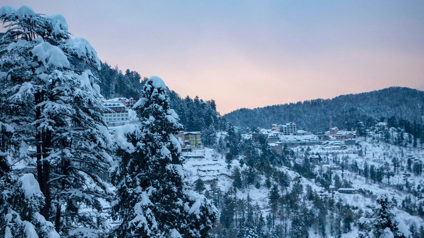 "Shimla Diaries: 2 night of Thrill & Chill"