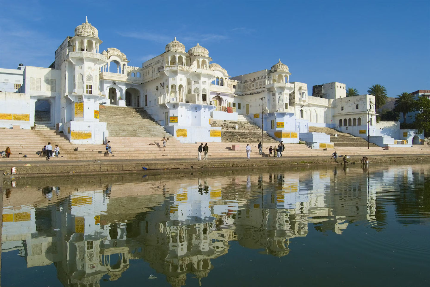 “Colors & Camels: My Journey Through Pushkar”