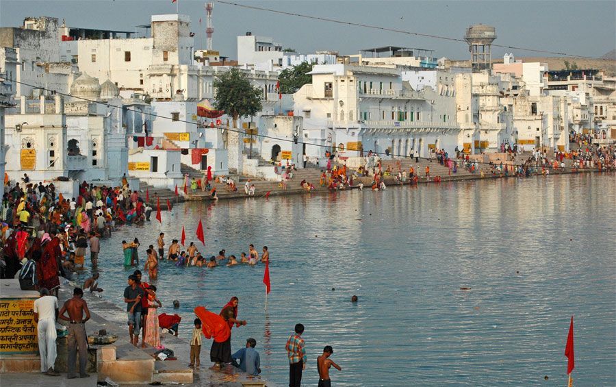 “Colors & Camels: My Journey Through Pushkar”