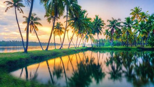 "Kerala Calling: God’s Own Country Awaits"