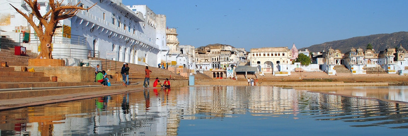 “Colors & Camels: My Journey Through Pushkar”
