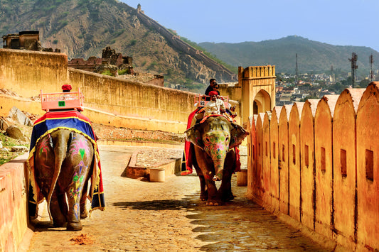 "The Pink City Escape: Discover Jaipur in Style"