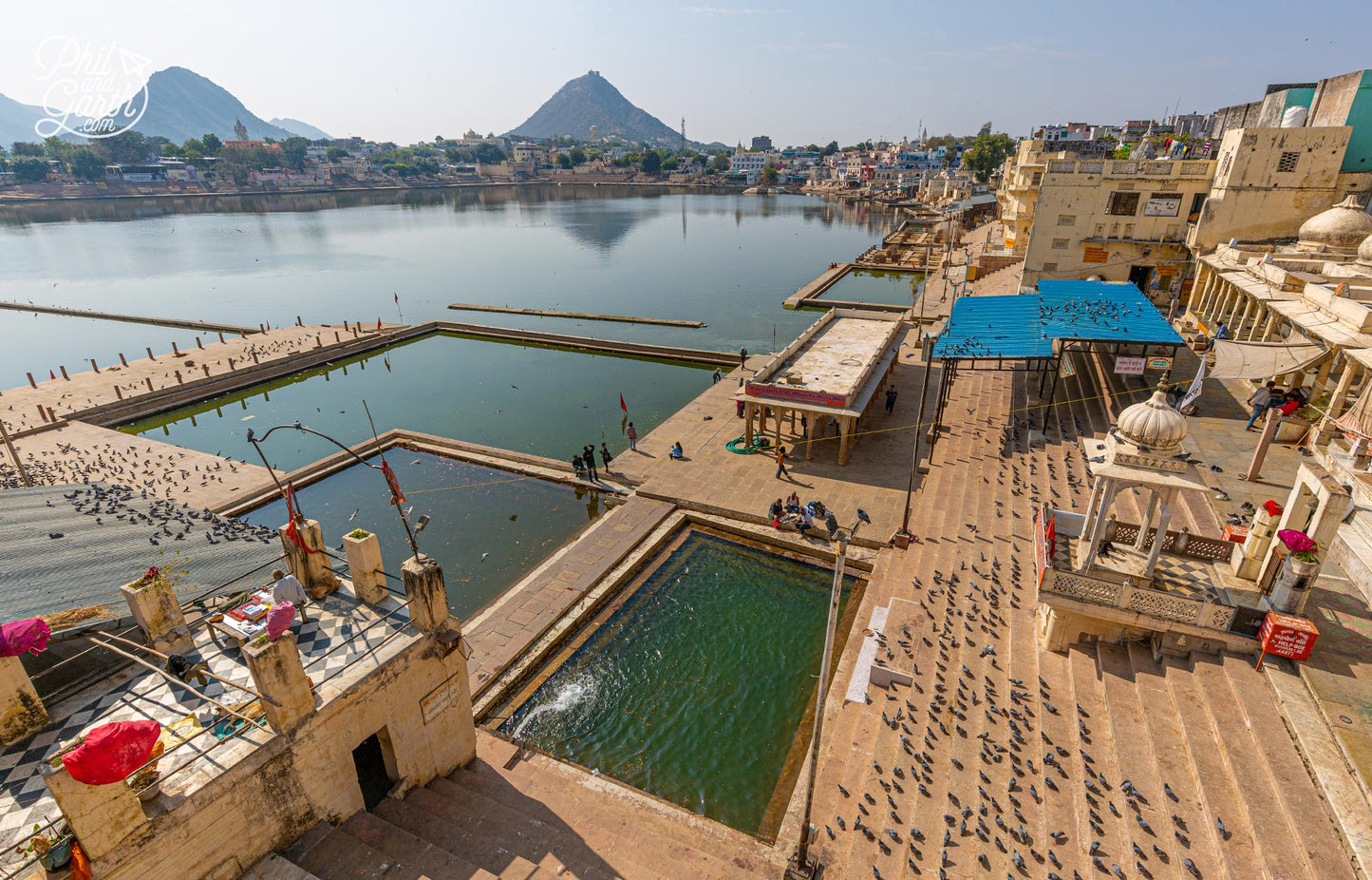 “Colors & Camels: My Journey Through Pushkar”