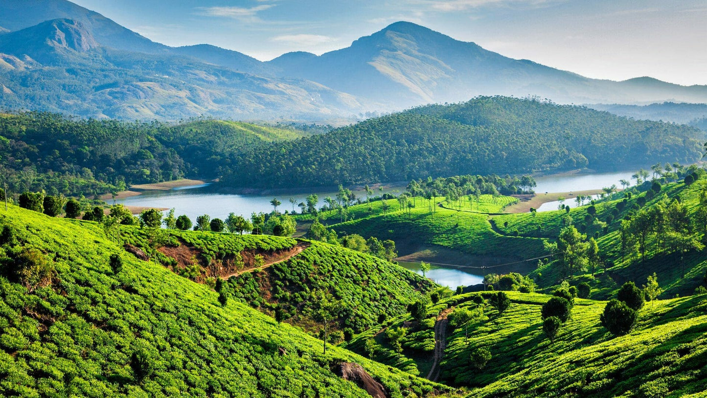"Kerala Calling: God’s Own Country Awaits"