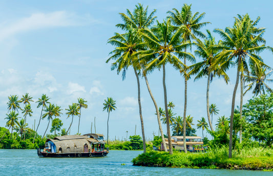 "Kerala Calling: God’s Own Country Awaits"